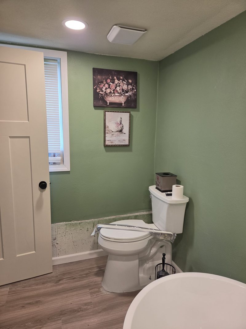 Finished basement bathroom remodel with new fixtures and flooring