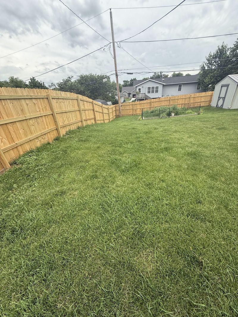 New wood privacy fence enclosing a backyard